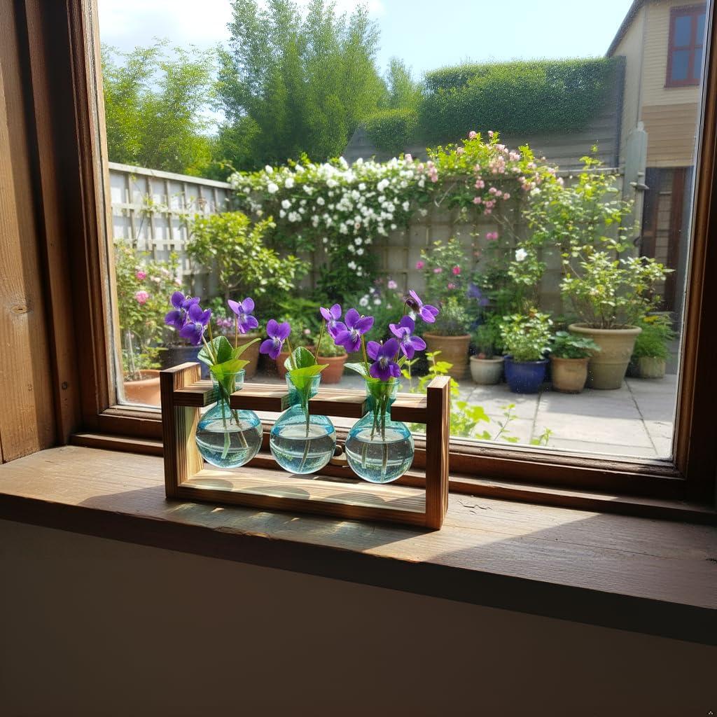 image:imageXXXFLOWER Glass Plant Terrarium Propagation Station Gifts for Mom Plant Lovers Wife Daughter 3 Bulb Glass Vase Plant Terrarium Tabletop for Hydroponics Home Office Indoor Decor PinkBlue