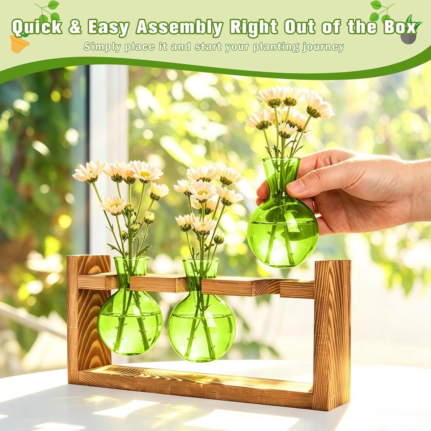 image:imageXXXFLOWER Glass Plant Terrarium Propagation Station Gifts for Mom Plant Lovers Wife Daughter 3 Bulb Glass Vase Plant Terrarium Tabletop for Hydroponics Home Office Indoor Decor PinkGreen