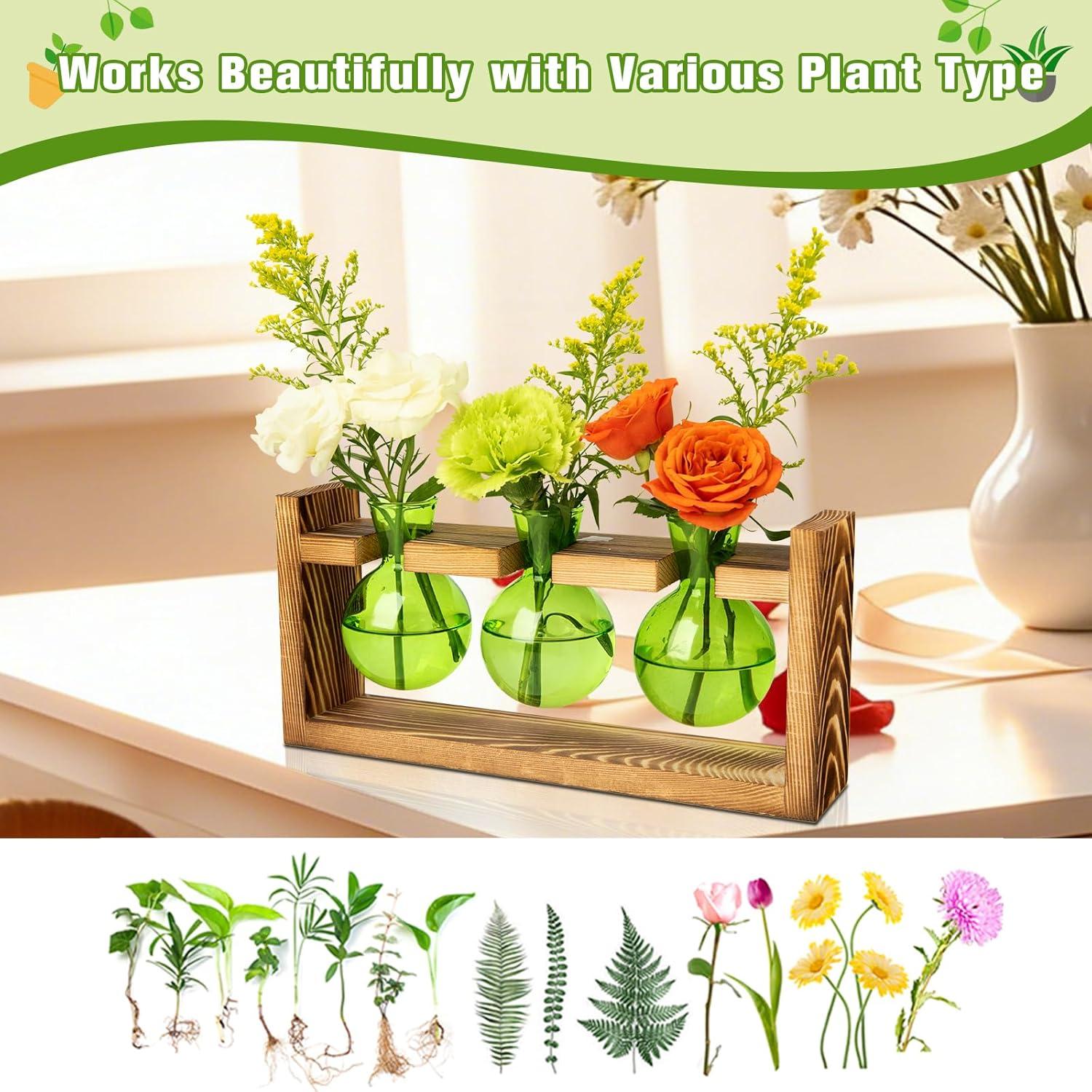 image:imageXXXFLOWER Glass Plant Terrarium Propagation Station Gifts for Mom Plant Lovers Wife Daughter 3 Bulb Glass Vase Plant Terrarium Tabletop for Hydroponics Home Office Indoor Decor PinkGreen
