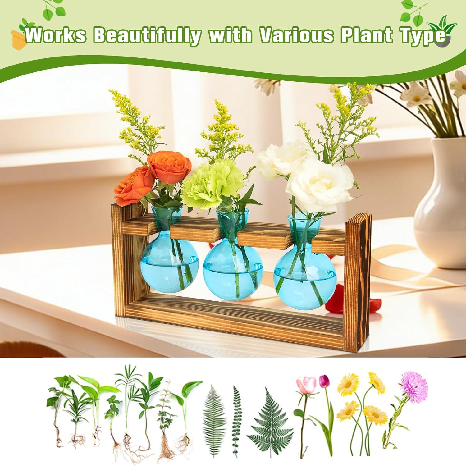image:imageXXXFLOWER Glass Plant Terrarium Propagation Station Gifts for Mom Plant Lovers Wife Daughter 3 Bulb Glass Vase Plant Terrarium Tabletop for Hydroponics Home Office Indoor Decor PinkBlue
