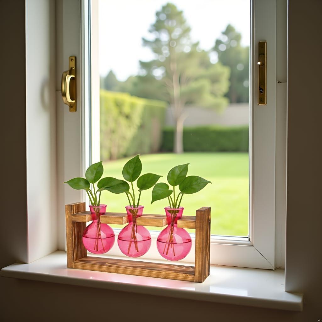 image:imageXXXFLOWER Glass Plant Terrarium Propagation Station Gifts for Mom Plant Lovers Wife Daughter 3 Bulb Glass Vase Plant Terrarium Tabletop for Hydroponics Home Office Indoor Decor PinkPink