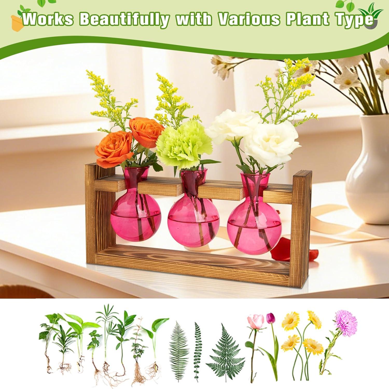 image:imageXXXFLOWER Glass Plant Terrarium Propagation Station Gifts for Mom Plant Lovers Wife Daughter 3 Bulb Glass Vase Plant Terrarium Tabletop for Hydroponics Home Office Indoor Decor PinkPink